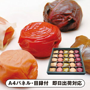 Ia_ IB썂~  ʂ̕25yplEژ^tz(ii 񎟉 I  ] YN VN I ГCxg ^ St Ry rS NCY  ژ^ pl iY