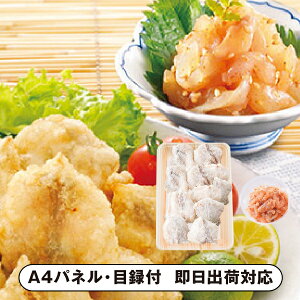 ւƂ{X ӂgEƂӂhZbgyplEژ^tz(ii 񎟉 I  ] YN VN I ГCxg ^ St Ry rS NCY  ژ^ pl 