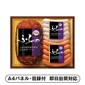 v}n ӂ nEEBi[ZbgyplEژ^tz(ii 񎟉 I  ] YN VN I ГCxg ^ St Ry rS NCY  ژ^ pl 