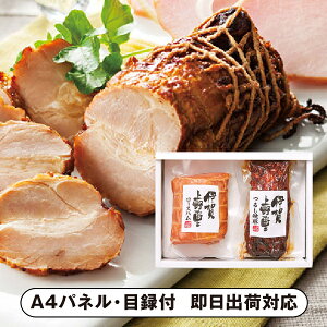 30|Cgő10{ɉ̗ [Xn&邵ē؁yplEژ^tz(ii 񎟉 I  ] YN VN I ГCxg ^ St Ry rS NC