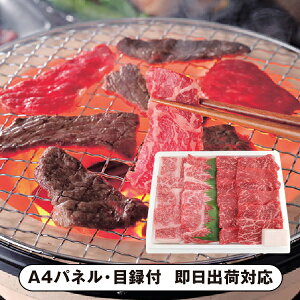 {Y {錧Y ēZbgyplEژ^tz(ii 񎟉 I  ] YN VN I ГCxg ^ St Ry rS NCY  ژ^ pl iY