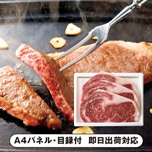 yz{Y {錧Y [XXe[LyplEژ^tz(ii 񎟉 I  ] YN VN I ГCxg ^ St Ry rS NCY  