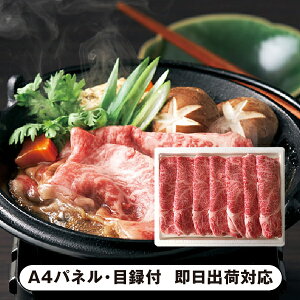 yz{Y a[XāyplEژ^tz(ii 񎟉 I  ] YN VN I ГCxg ^ St Ry rS NCY  ژ^ pl