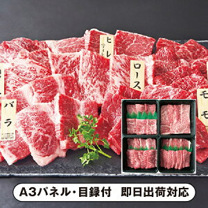 yz{Y aēꓪyplEژ^tz(ii 񎟉 I  ] YN VN I ГCxg ^ St Ry rS NCY  ژ^ pl 