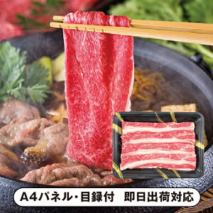 ɌY AnĂyplEژ^tz(ii 񎟉 I  ] YN VN I ГCxg ^ St Ry rS NCY  ژ^ pl iYnO