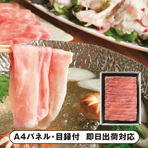 |[NԂԗpyplEژ^tz(ii 񎟉 I  ] YN VN I ГCxg ^ St Ry rS NCY  ژ^ pl iYn