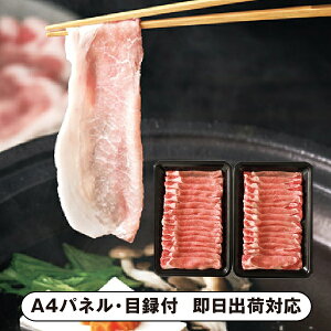 {Y ܂؁iSPFjԂԁyplEژ^tz(ii 񎟉 I  ] YN VN I ГCxg ^ St Ry rS NCY  ژ^ pl 