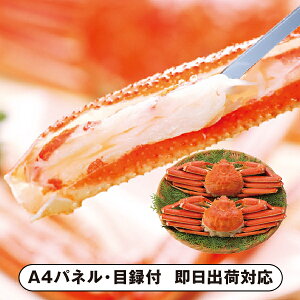 yz{C킢Ɏp2AyplEژ^tz(ii 񎟉 I  ] YN VN I ГCxg ^ St Ry rS NCY  ژ^ pl iY