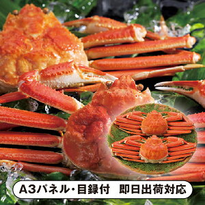 yz{C킢Ɏp2ByplEژ^tz(ii 񎟉 I  ] YN VN I ГCxg ^ St Ry rS NCY  ژ^ pl iY