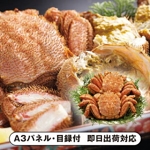 yzkCY{Cт2ByplEژ^tz(ii 񎟉 I  ] YN VN I ГCxg ^ St Ry rS NCY  ژ^ pl i