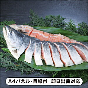 kCYѐVpؐgByplEژ^tz(ii 񎟉 I  ] YN VN I ГCxg ^ St Ry rS NCY  ژ^ pl iYnO