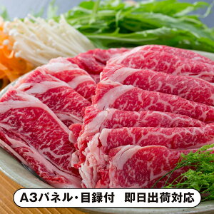 yzјa\E[XԂԗpi700gjyplEژ^tz(ii 񎟉 I  ] YN VN I ГCxg ^ St Ry rS 