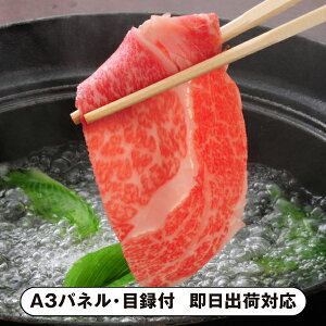 yzđ򋍉 đ򋍂Ԃԗpi[XE[X 550gjyplEژ^tz(ii 񎟉 I  ] YN VN I ГCxg ^ St Ry r