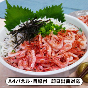 ΌY x͘pY gс炷Zbgi80gA炷130gjyplEژ^tz(ii 񎟉 I  ] YN VN I ГCxg ^ St Ry r