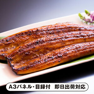 30|Cgő10{yzVy {uVyvBY Ȃāi3jyplEژ^tz(ii 񎟉 I  ] YN VN I ГCxg ^ St 