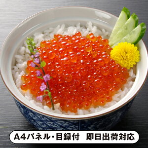 30|Cgő10{kCY ݖЂi40g×4jyplEژ^tz(ii 񎟉 I  ] YN VN I ГCxg ^ St Ry rS NCY 