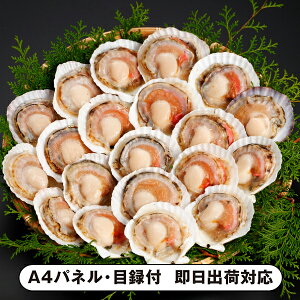 kCYقĕЊLi20jyplEژ^tz(ii 񎟉 I  ] YN VN I ГCxg ^ St Ry rS NCY  ژ^ pl Hi  