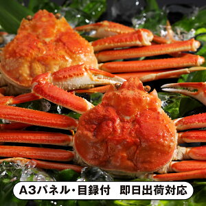 yz킢Ɏpi550g×2jyplEژ^tz(ii 񎟉 I  ] YN VN I ГCxg ^ St Ry rS NCY  ژ^ pl Hi 