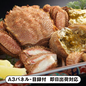 yzkCYтɁi500g×2jyplEژ^tz(ii 񎟉 I  ] YN VN I ГCxg ^ St Ry rS NCY  ژ^ pl Hi