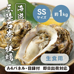 yHpzktyiSSTCYj1kgyplEژ^tz