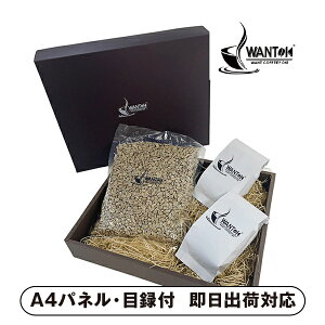 WANTOK v~AO[yplEژ^tz( ݕ  R[q[ I 񎟉 2 ii Ry YN VN 񎟉 St Cxg I rS ܕi plt ژ^ 