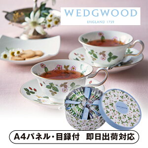 EFbWEbh Ch Xgx[ eB[obO 36yplEژ^tz(g ݕ  I 񎟉 2 ii Ry YN VN 񎟉 St Cxg I r