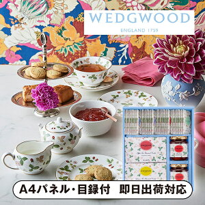 EFbWEbh Ch Xgx[ A\[gByplEژ^tz(g ݕ  mَq ĉَq W I 񎟉 2 ii Ry YN VN 񎟉 St Cxg 