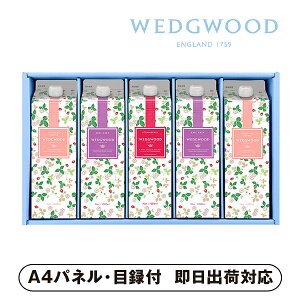 EFbWEbh ACXeB[EACXR[q[ZbgByplEژ^tz( ݕ  lߍ킹 I 񎟉 2 ii Ry YN VN 񎟉 St Cxg I