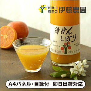 ɓ_100sAW[X750ml×6yplEژ^tz(W[X ݕ  \tghN I 񎟉 2 ii Ry YN VN 񎟉 St Cxg I r