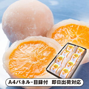 Vn ܂邲Ƃ݂啟 8yplEژ^tz(aَq XC[c َq I 񎟉 2 ii Ry YN VN 񎟉 St Cxg I rS ܕi plt 