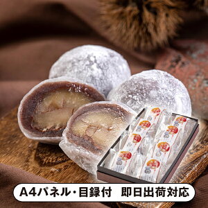 Vn ܂邲ƏaI啟 8yplEژ^tz(aَq XC[c َq I 񎟉 2 ii Ry YN VN 񎟉 St Cxg I rS ܕi plt 