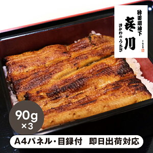 yz YȂ90g×3yplEژ^tz(O aH Hi y V I 񎟉 2 ii Ry YN VN 񎟉 St Cxg I rS ܕi p