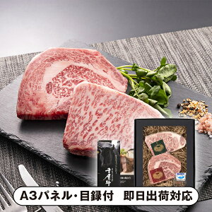 yz̉Έ I牮Xe[L 300gyplEژ^tz(O Hi  BBQ ē  I 񎟉 2 ii Ry YN VN 񎟉 St Cxg I r