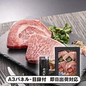 yz̉Έ I牮Xe[L 600gyplEژ^tz(O Hi  BBQ ē  I 񎟉 2 ii Ry YN VN 񎟉 St Cxg I r