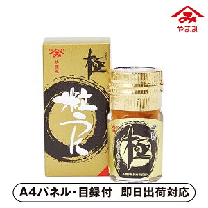 ܂݂ nɋɁyplEژ^tz(O Hi CN CY  I 񎟉 2 ii Ry YN VN 񎟉 St Cxg I rS ܕi plt 