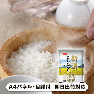 VYЂ 2kgyplEژ^tz( I 񎟉 2 ii Ry YN VN 񎟉 St Cxg I rS ܕi plt ژ^ lC )