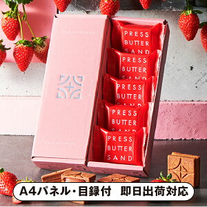 vXo^[Th܂5yplEژ^tz(mَq ĉَq َq I 񎟉 2 ii Ry YN VN 񎟉 St Cxg I rS ܕi plt 