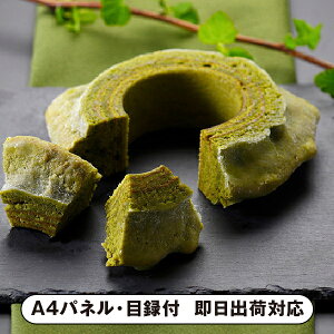 _T؁@oEN[wyplEژ^tz(mَq ĉَq َq o[N[w I 񎟉 2 ii Ry YN VN 񎟉 St Cxg I rS 