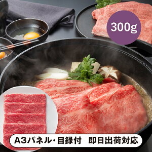 ܂悵 ㋍ ĂpiEBj300gyplEژ^tz