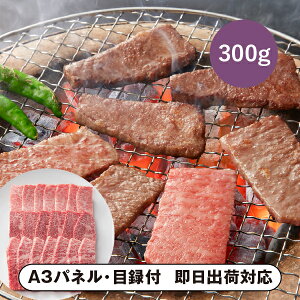 yz܂悵 ㋍ ēpiEEoAj300gyplEژ^tz