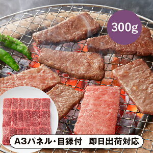 ܂悵 ㋍ ēpiEEoBj300gyplEژ^tz