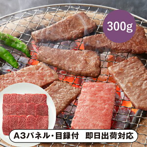 ܂悵 ㋍ ēpiEEoCj300gyplEژ^tz