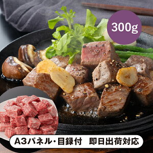 yz܂悵 ㋍ TCRXe[Liuhj300gyplEژ^tz