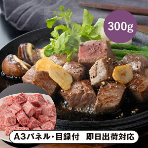 yz܂悵 ㋍ TCRXe[LiT[Cj300gyplEژ^tz