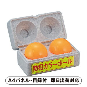 hƃJ[{[yplEژ^tz(h hƃObY sR g gObY hƗpi N hƑ΍ x G I 񎟉 2 ii Ry YN VN 񎟉 St C