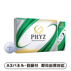 yzuaXg PHYZ zCgyplEژ^tz(St St{[ StRy golf Stpi G I 񎟉 2 ii Ry YN VN 񎟉 St C