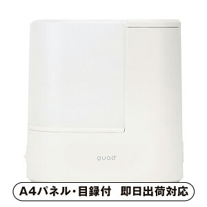 QUADS �X�`�[�������� �G�����C�X�g ���C�g�i�A�C�{���[�j�y�p�l���E�ژ^�t�z(�i�i �񎟉� ��I�� ������ �]�� �Y�N�� �V�N�� ���I�� �Г��C�x���g �^���� �S���t �R���y �r���S �N�C�Y ���� 