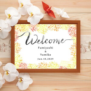 OtBbN EFJ{[hi͂Ȃ _Aj Mtg j I EFfBO EGJXy[X  a _ Wpj[Y_