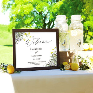 30|Cgő10{OtBbN EFJ{[hiveBKg[ CG[j Mtg j I EFfBO EFJXy[X