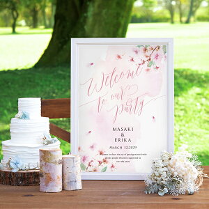 OtBbN EFJ{[hiVA[WFjbN ԍj Mtg j I EFfBO EFJXy[X